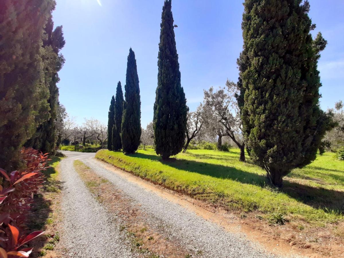 Il Palagio Villa Vinci Buitenkant foto